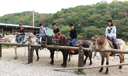 社員旅行（宿泊組）2019年10月